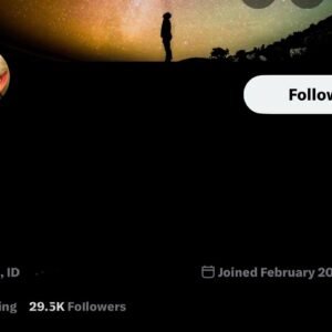 29k author x account (aged 2009) – niche audience | high trust