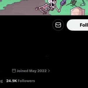 24.9k nft & animation x account