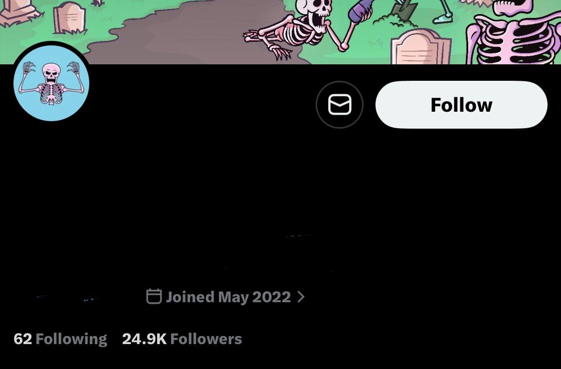 24.9k nft & animation x account 24.9k nft & animation x account
