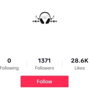 TikTok Account (1.3K Followers, 28K+ Likes)
