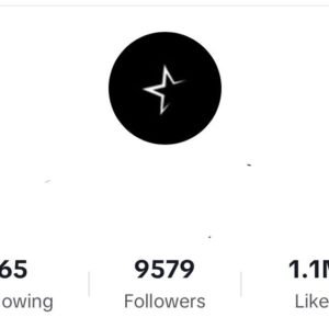1.1M Likes TikTok Account – 9.5K Followers