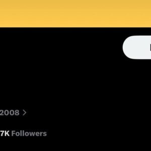Aged Twitter Account (2008) – 4.7K Followers