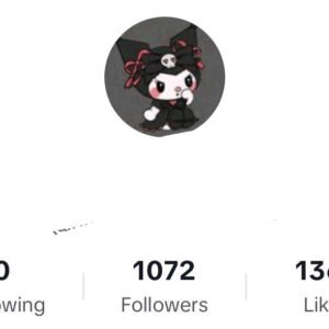 TikTok Account – 1K Followers