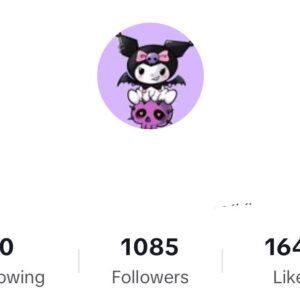TikTok Account – 1K+ Followers