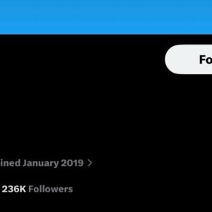 X (Twitter) Account – 236K Followers