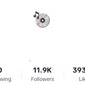 TikTok Account (11.9K Followers | 393K Likes