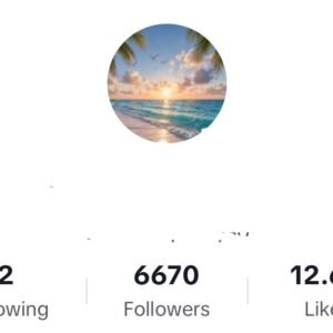 TikTok Account – 6.6K Followers | 12.6K Likes
