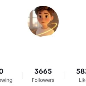 TikTok Account 3.6K Followers
