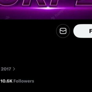10K Real Followers X (Twitter) Account