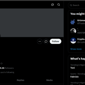 2010 X Account with 365.2K Organic Followers