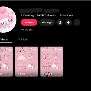 TikTok Account with 76.8K Real Followers