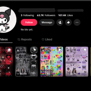 TikTok Account with 63K Real Followers & 107K Likes