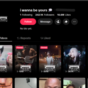 Premium TikTok Account with 242K Real Followers & 10M Likes