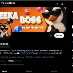 2012 X Account with 102K Followers