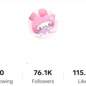 TikTok Account – 76.1K Followers
