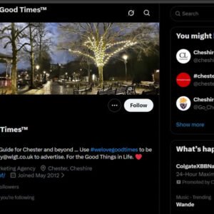 Top-Notch X Account with 31K Organic Followers