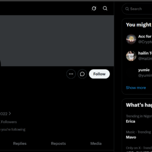 Blue Tick X Account with 333K Organic Followers