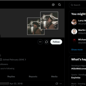 Aged 2016 X Account with 9.3K Organic Followers