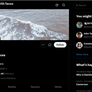 Exclusive X Account with 25.4K Real Followers