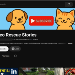 Organic YouTube Account with 59.3K Subscribers