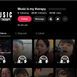 High Quality TikTok Account with 40.1K Followers & 757.1K Likes