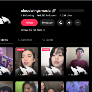 High-Quality TikTok Account with 165.7K Followers & 4.2M Likes