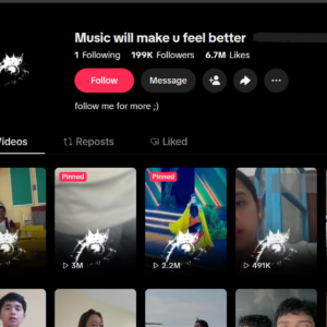Viral TikTok Account with 199K Followers & 6.7M Likes